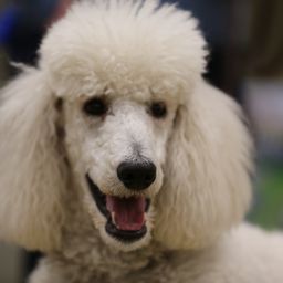 photograph by PeterW